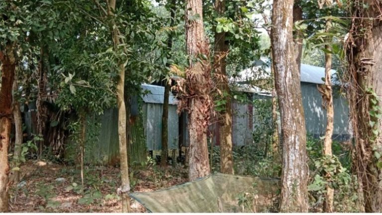 সখীপুরে সংরক্ষিত বনভূমিতে বাড়ি নির্মাণের হিড়িক