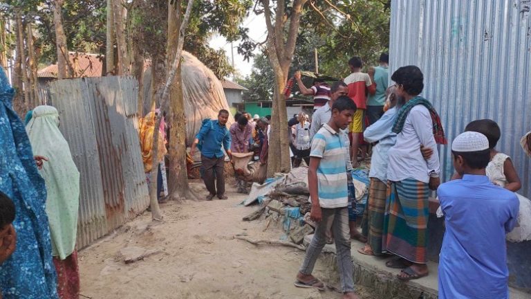 ঘাটাইলে ভাতিজার হাতে চাচা খুন