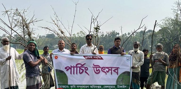 দেলদুয়ারে ধানের পোকা দমনে ক্ষেতে পার্চিং উৎসব শুরু