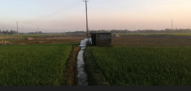 কালিহাতীতে জমি জব্দ করে রেখেছে বালু ব্যবসায়ীরা