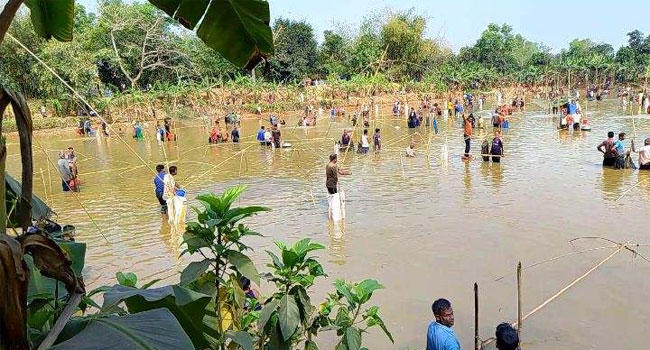 সখীপুরে মাছ শিকার উৎসব পালন