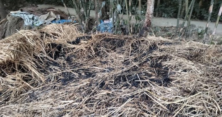 কালিহাতীতে ৬ স্থানে একরাতে খড়ের গাদায় আগুন দিয়েছে দুর্বৃত্তরা