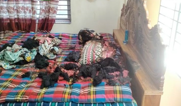 নাগরপুরে ঘরে আগুন দেয়ার অভিযোগ