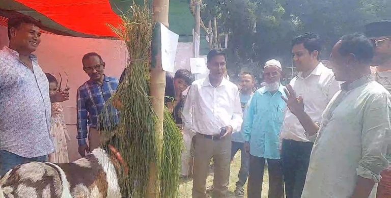 বাসাইলে প্রাণিসম্পদ প্রদর্শনী অনুষ্ঠিত