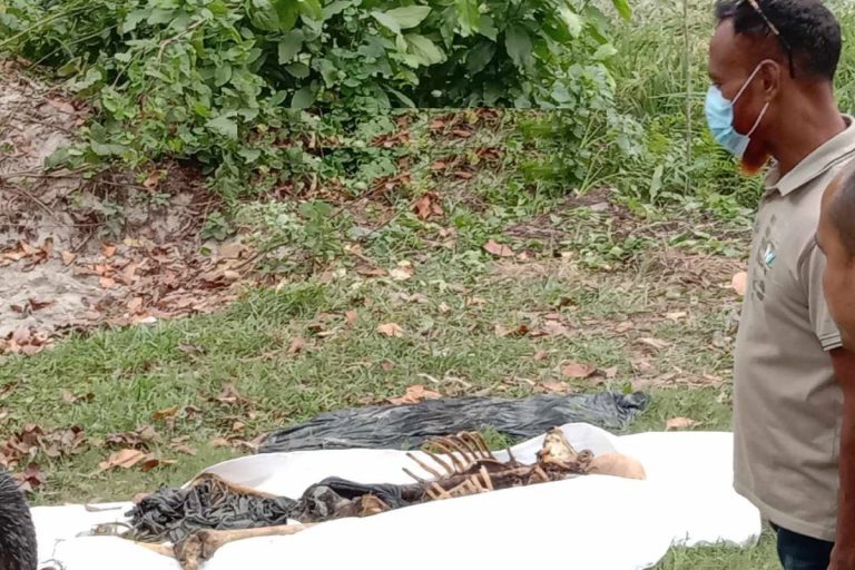 টাংগাইলে ধান ক্ষেতে থেকে মানুষের কঙ্কাল উদ্ধার