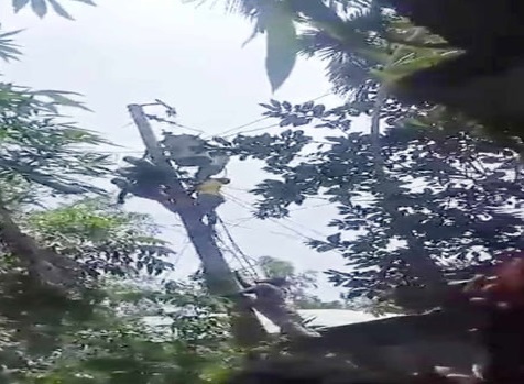 নাগরপুরে বিদ্যুৎস্পৃষ্টে এক যুবকের মৃত্যু