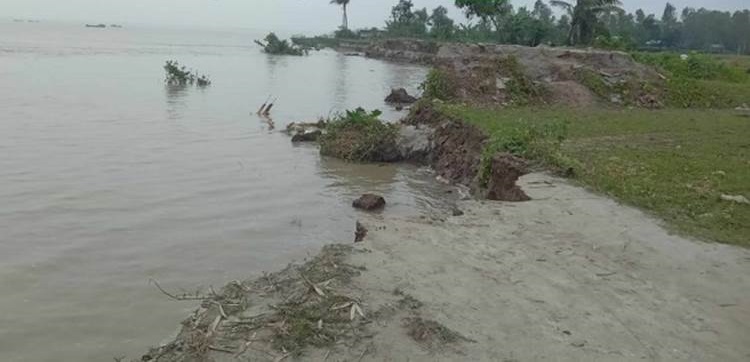 টাঙ্গাইলের কাকুয়াতে আবাদী জমি ভাঙ্গনের কবলে