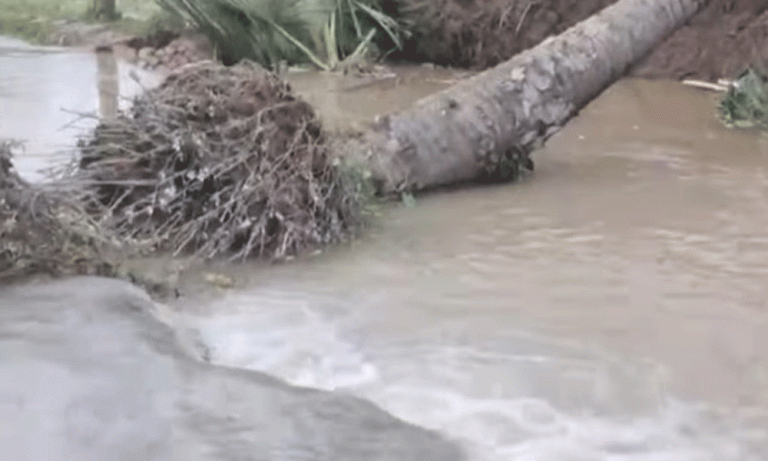 টাংগাইলে বন্যা পরিস্থিতির ক্রমাগত অবনতি