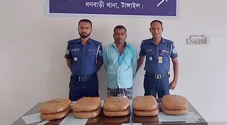 ধনবাড়ীতে ২০ কেজি গাঁজাসহ এক মাদক কারবারি আটক