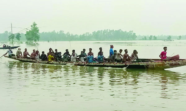 ধনবাড়ীতে নৌকাবাইচ প্রতিযোগিতা অনুষ্ঠিত