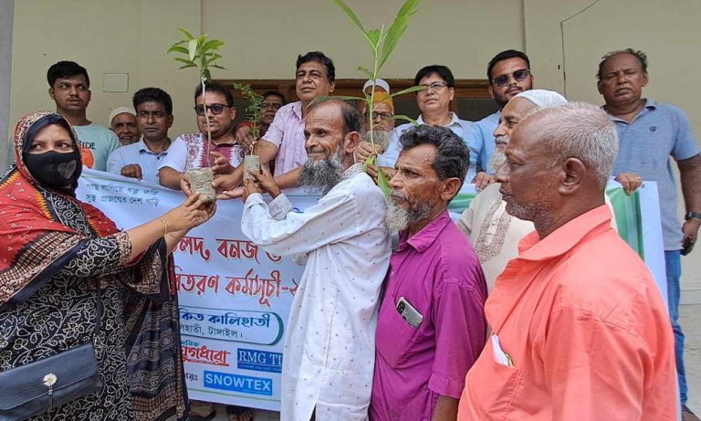 আলোকিত কালিহাতীর বিনামূল্যে গাছ বিতরণ