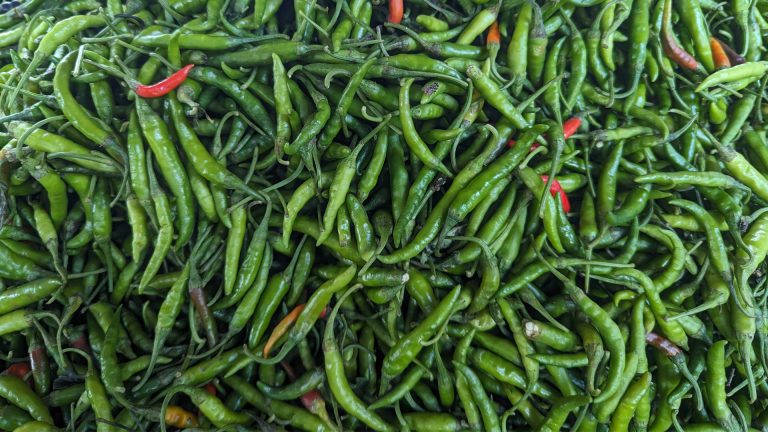 টাংগাইলে কাঁচা মরিচের ঝালে পুড়ছে হাট-বাজার