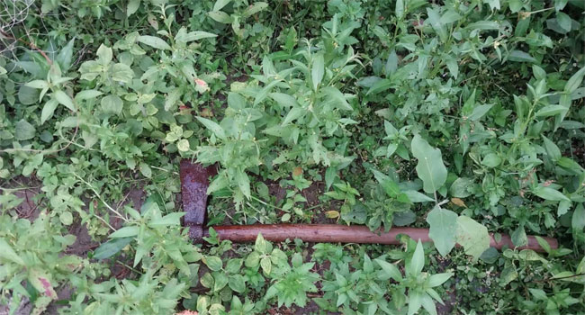নাগরপুরে স্বামীর বিশেষ অঙ্গ কর্তন, স্ত্রীকে কুপিয়ে হত্যা!!!