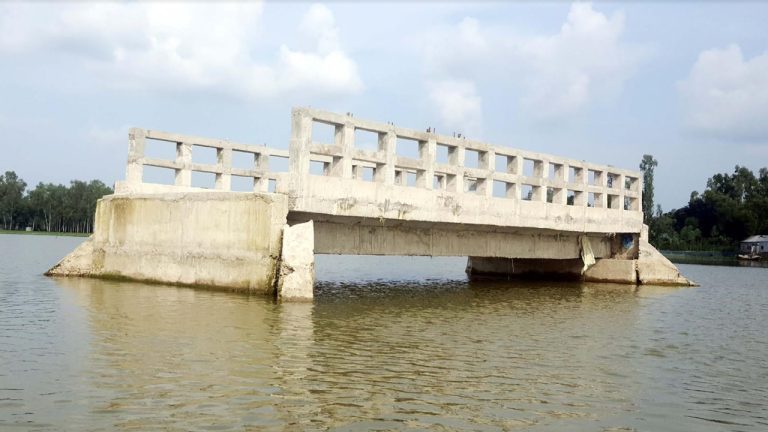 ভূঞাপুরে বিলের মাঝখানে ব্রিজ