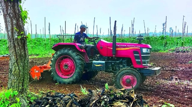মধুপুর বনের ৪৫ হাজার একর বনভূমির তিন-চতুর্থাংশই নিয়ন্ত্রনের বাইরে
