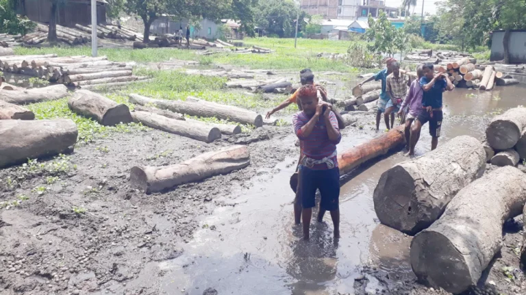 মির্জাপুরে শত বছরের পশুর হাটে রাজস্ব বাড়লেও উন্নয়নের ছোঁয়া লাগেনি