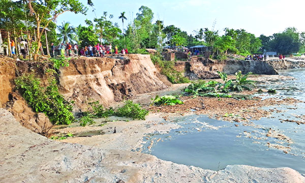 টাংগাইলে যমুনার ভাঙ্গনে অসহায় মানুষ