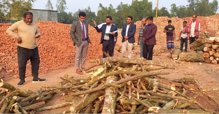 কালিহাতীতে ইট ভাটাকে জরিমানা