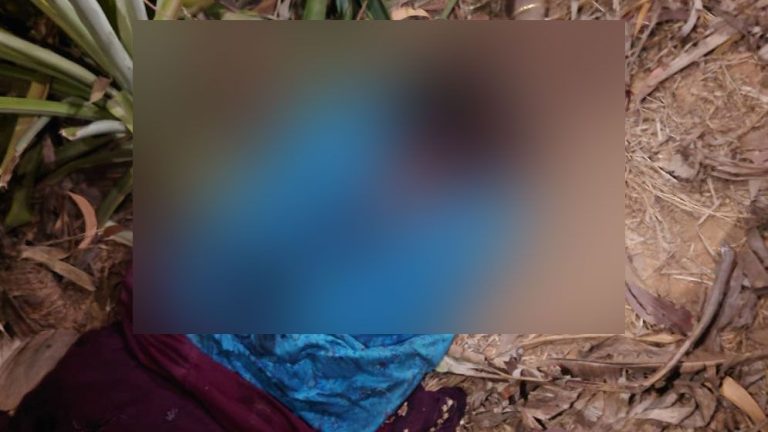 মধুপুরে নেশাগ্রস্ত ছেলের হাতে মা খুন