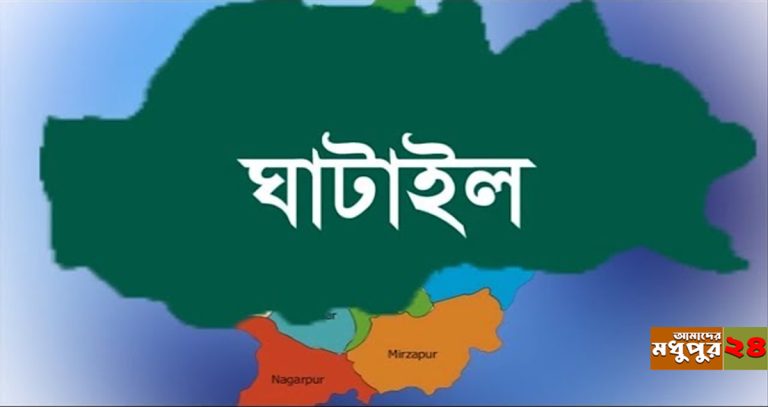 ঘাটাইলে কৃষি জমির মাটি কাটার অপরাধে ২ জনের কারাদণ্ড