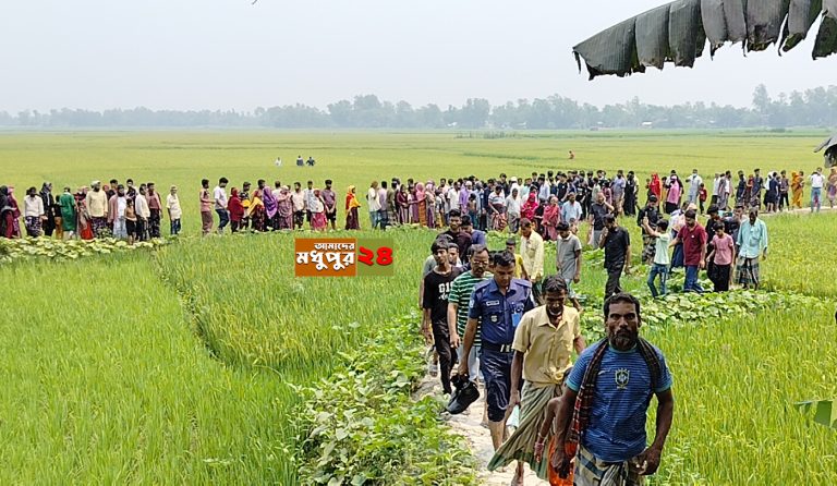 কালিহাতীতে ধান ক্ষেত থেকে ৭০ বছর বয়সী বৃদ্ধার মরদেহ উদ্ধার