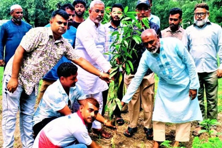 টাংগাইলে বিভিন্ন শিক্ষাপ্রতিষ্ঠানে বৃক্ষরোপণ কর্মসূচি