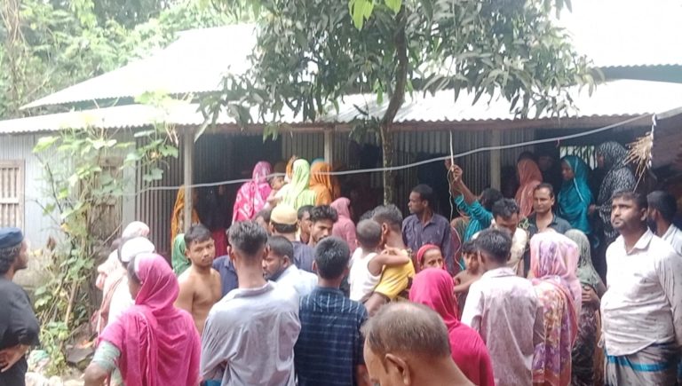 মধুপুরে দাদিকে বাঁচাতে গিয়ে বিদ্যুৎস্পৃষ্ঠে নাতনির মৃত্যু