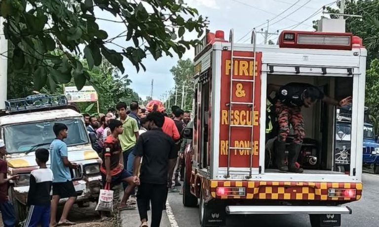 ঘাটাইলে ট্রাকচাপায় মোটরসাইকেল আরোহী নিহত