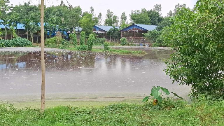 সখীপুরে পোল্ট্রি খামারের বর্জ্য ও তীব্র দুর্গন্ধের কারণে ভোগান্তিতে এলাকাবাসী