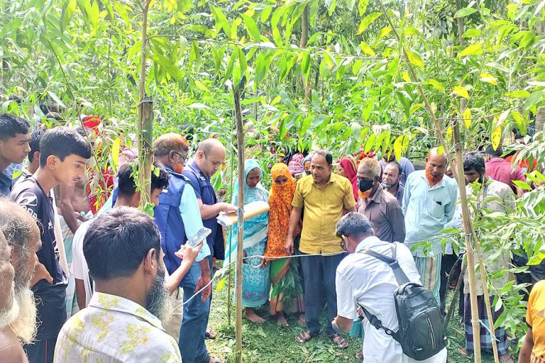 কালিহাতীতে এক বৃদ্ধের রক্তাক্ত মরদেহ উদ্ধার