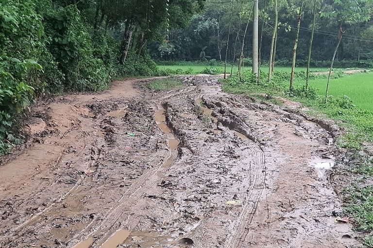 স্বাধীনতার ৫৩ বছরেও পাকাকরণ হয়নি ঘাটাইলের গ্রামীণ রাস্তা জনদুর্ভোগে মানুষ
