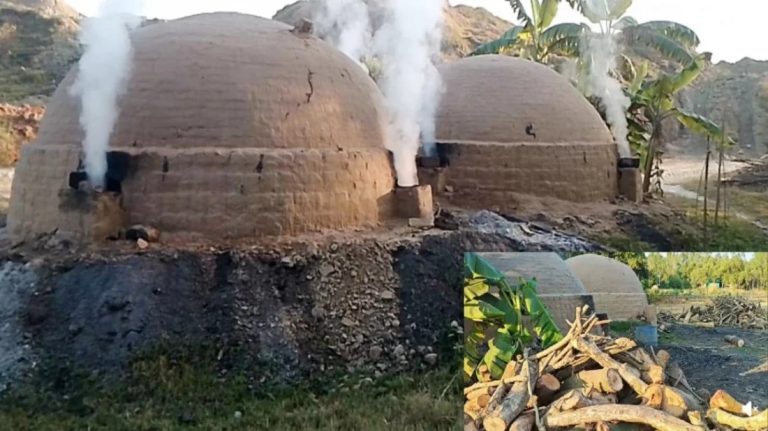 মির্জাপুরে বনাঞ্চলের পাশে অবৈধভাবে কয়লা তৈরির চুল্লি গড়ে উঠার অভিযোগ