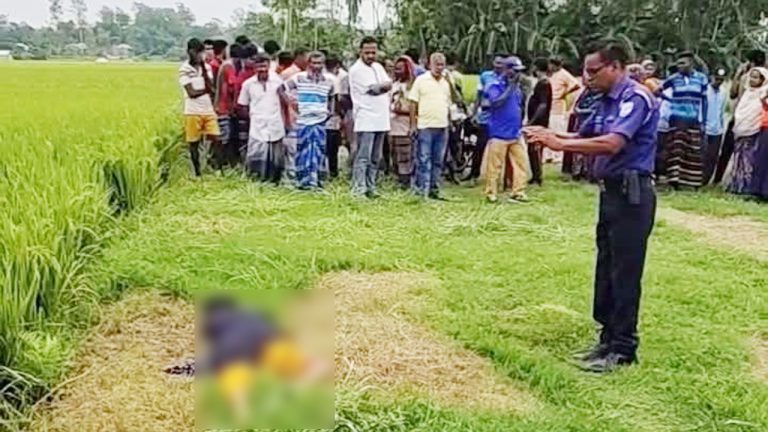 দেলদুয়ারে ধানক্ষেত থেকে এক নারীর মরদেহ উদ্ধার