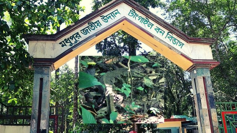 এক নজরে মধুপুর জাতীয় উদ্যান