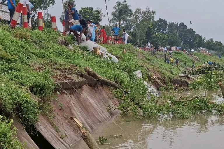 গোপালপুরে যমুনা নদীর ভাঙনে সড়কে ধস,যানবাহন চলাচল বন্ধ