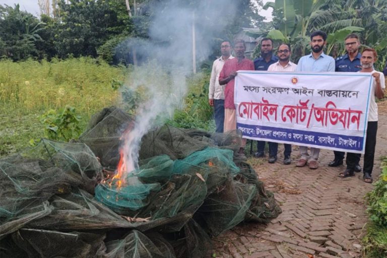 বাসাইলে অবৈধ চায়না দুয়ারী পুড়িয়ে ধ্বংস