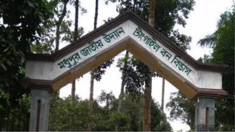 মধুপুরে বন উজাড় এবং বনভূমি জবরদখলের অভিযোগ তদন্তে বিভাগীয় কমিটি নিয়ে চাঞ্চল্যের সৃষ্টি