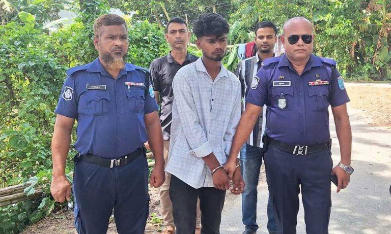 বাসাইলে স্কুলছাত্রীকে উত্ত্যাক্ত করায় যুবকের ৬ মাসের কারাদণ্ড