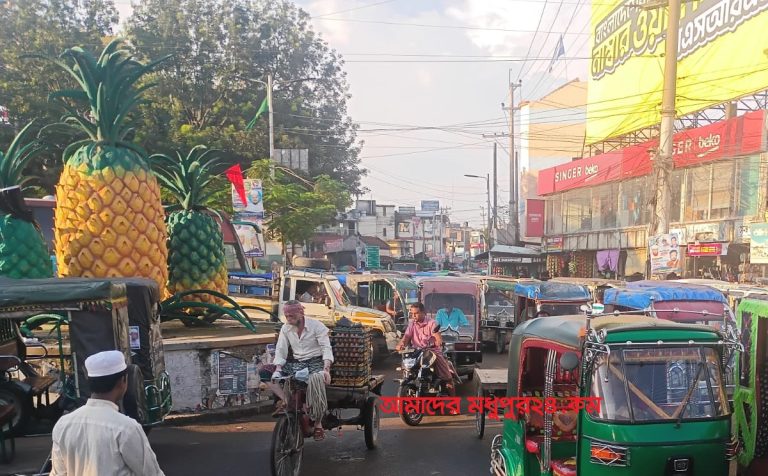 মধুপুর আনারস চত্বর অটোরিকশার দখলে
